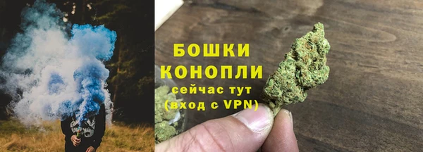 крисы Надым