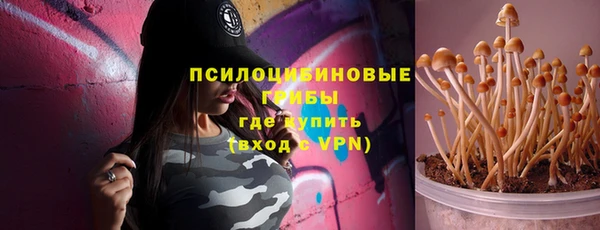 МДПВ Валдай