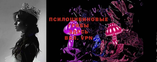 крисы Надым