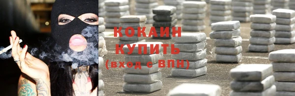 крисы Надым