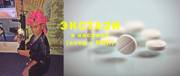 крисы Надым