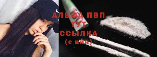 крисы Надым