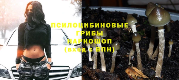 крисы Надым