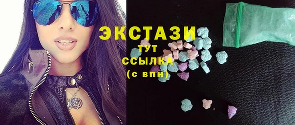 крисы Надым