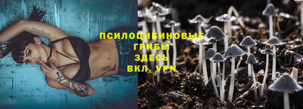 винт Михайловск