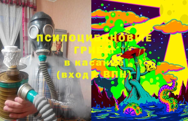 крисы Надым