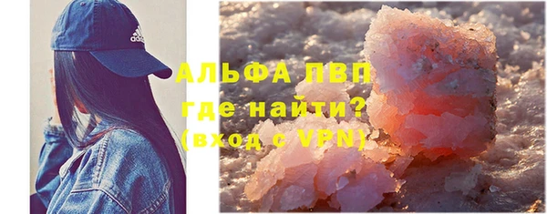 крисы Надым