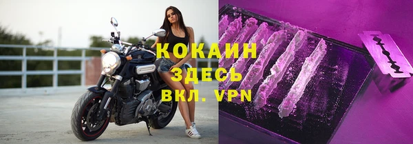 крисы Надым