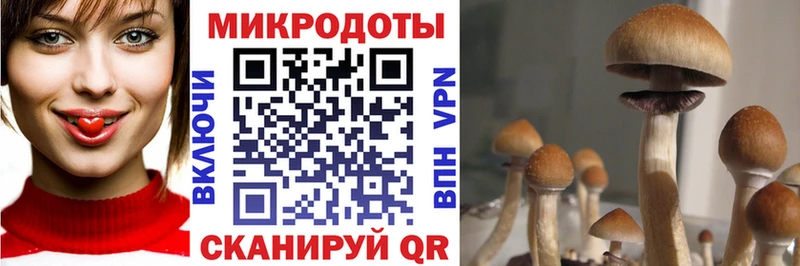 Галлюциногенные грибы ЛСД  Нижняя Салда 